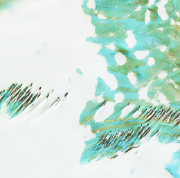 液相色譜環(huán)境檢測應(yīng)用